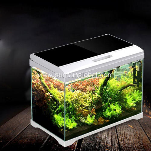 High Performance Fashion Design Clear Plastic Fish Tank